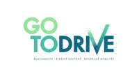 GoToDrive