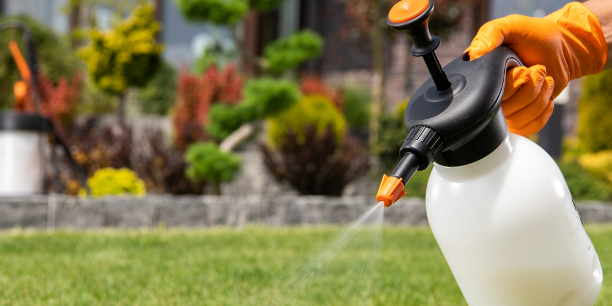 Zéro Phyto 2026 : Comment vendre la gestion différenciée ?