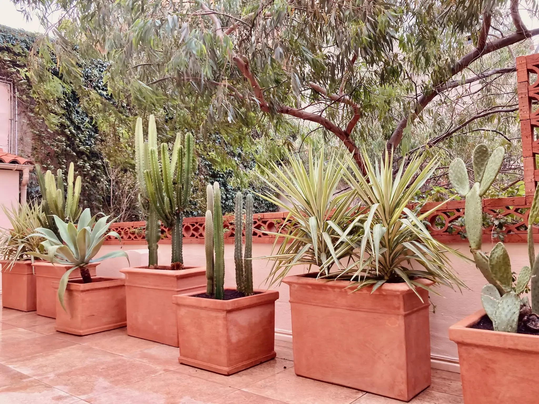 Altagem sponsorise Atzavarra, finaliste du Carré des Jardiniers 2025